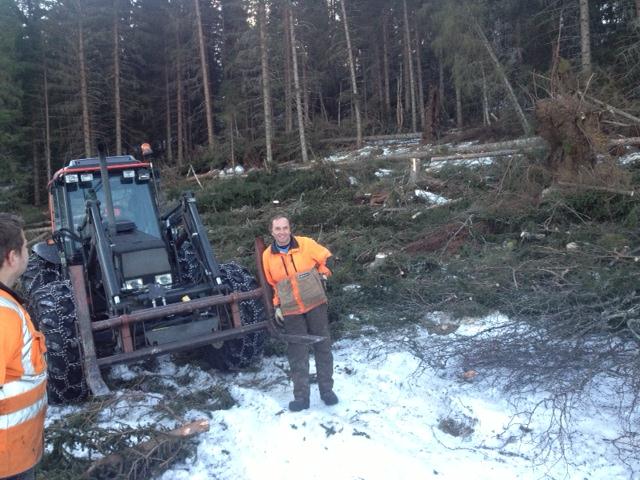 VEILEDNING I MØRE OG ROMSDAL 2013 40 kontordager med veiledning 2 skogdager 4 skogkvelder 40 timer med møter 3 timer med konkret kursing 400 enkelttimer i veiledning av skogeiere.