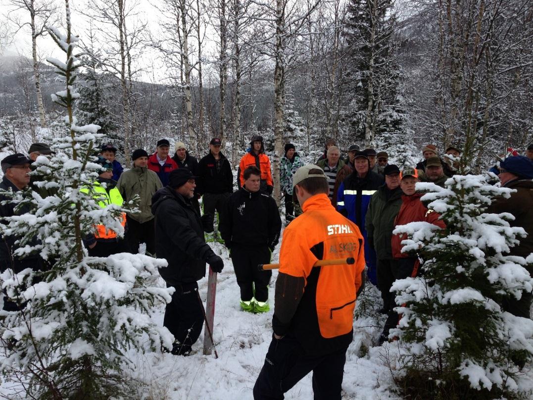 VEILEDNING I NORDLAND 2013 50 kontordager med veiledning 3 skog- og skoledager 2 skogkvelder 55 timer med møter 4 timer med kurs 350 enkelttimer i veiledning av skogeiere.