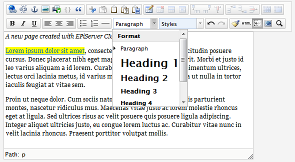 Arbeide med informasjonen 35 Tekstformatering Vanligvis vil du arbeide med forhåndsinnstilt formatering i EPiServer CMS.