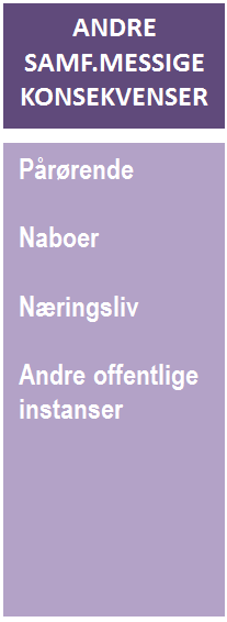 Når det gjelder andre samfunnsmessige konsekvenser vil det som nevnt tidligere være en rekke ulike effekter som kan kartlegges her.