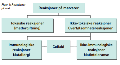 Hva det er vi