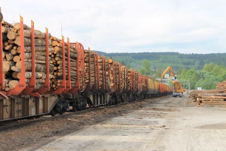 SKOG22 Rapport fra arbeidsgruppe SKOG Høringsutkast Arbeidsgruppens sammensetning: Nils Bøhn - leder (Norges Skogeierforbund) Erling Bergsaker sekretær NORSKOG Reidar Bergene Holm (Treindustrien) Ole