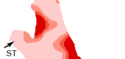 Figur 6: Fordeling (%) av ulike kornstørrelser i Årungens sedimenter, a) leirfraksjonen, b) siltfraksjonen og c) sandfraksjonen (Rutsinda, 2010).