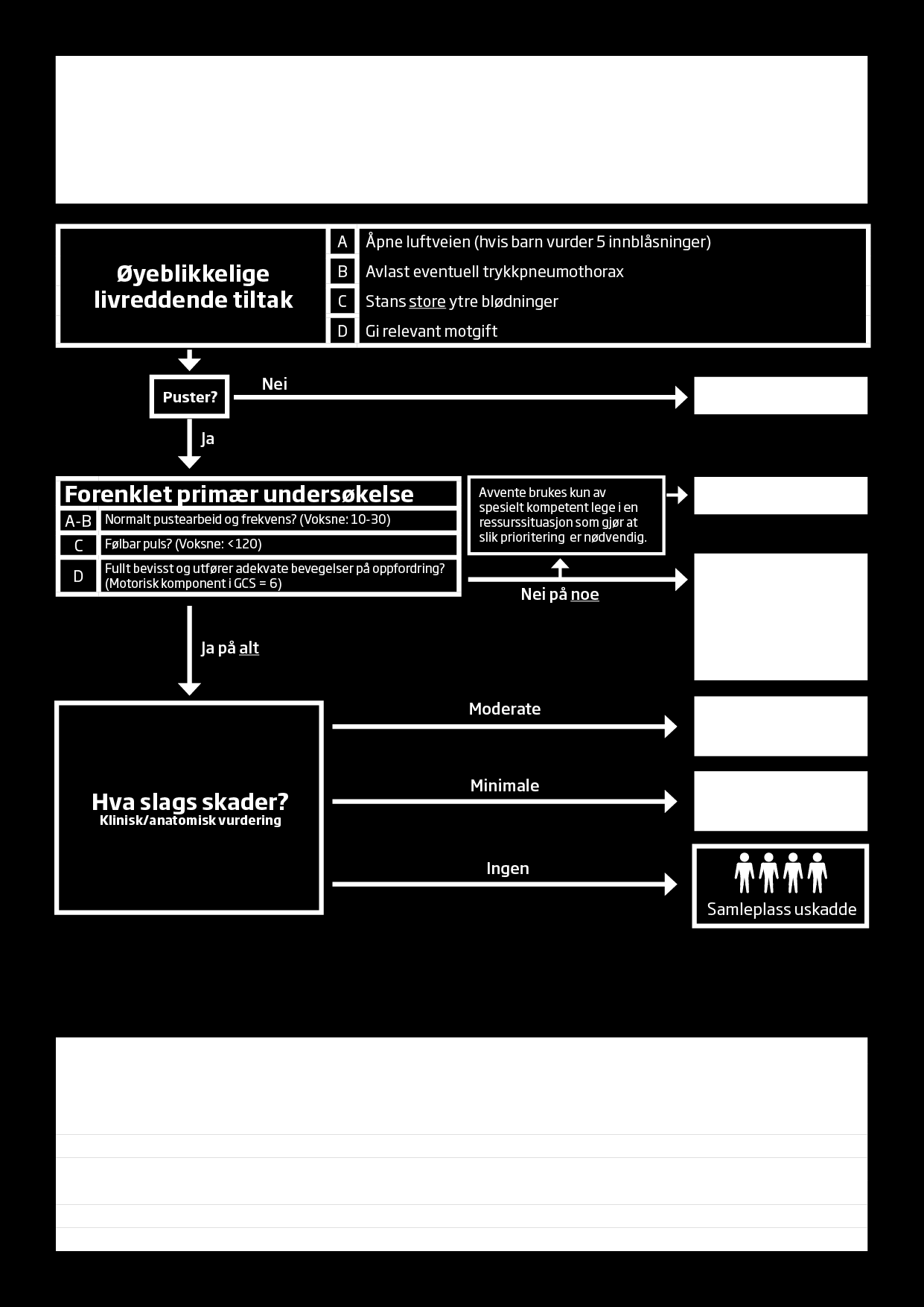 Figur 4 - Flytskjema for individuell triage utført av personell med