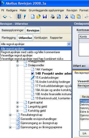 Utførelse Utførelsen kan enten dokumenteres via siste fane i anslått risiko eller i grenene under Utførelse.