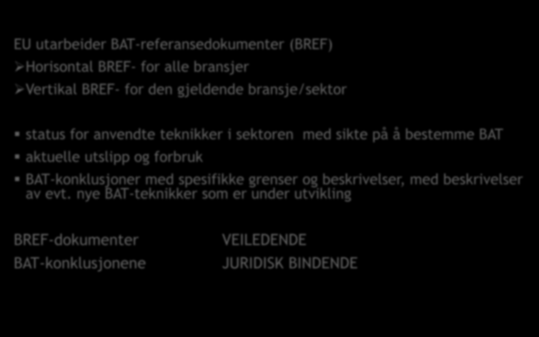 BAT-referansedokumenter EU utarbeider BAT-referansedokumenter (BREF) Horisontal BREF- for alle bransjer Vertikal BREF- for den gjeldende bransje/sektor status for anvendte teknikker i sektoren med