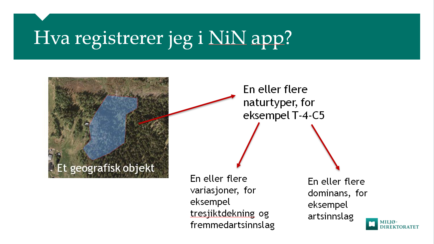 2. NiN-app 2.