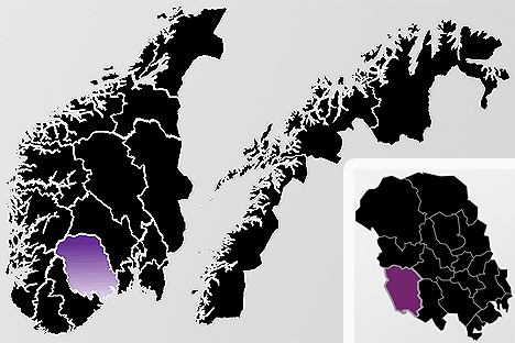 I tillegg til dette produserer de spesialinnredninger til hytter og det private hjem. Fyresdal sier selv at de fokuserer på elegant design og god funksjonalitet.