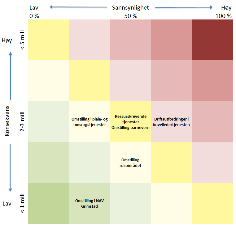 Risikovurdering I dette kapitlet presenteres en oversikt over ulike risikoområder for økonomiske avvik innenfor helse- og omsorgssektoren.