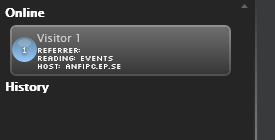 23 Online og Historikk For hver besøkende kan du se referanse-url-en sammen med de besøkte sidene og vertsinformasjon i Online-delen. For hver aktive besøkende vises siden som besøkes for øyeblikket.