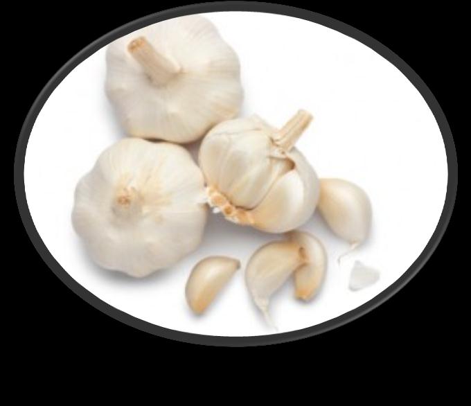 Forever Garlic-Thyme Kraftfull antioksidant Luktfri kapsel Bidrar til å beskytte kroppens celler
