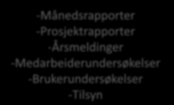 -Milepælsplaner -Månedsrapporter -Prosjektrapporter -Årsmeldinger