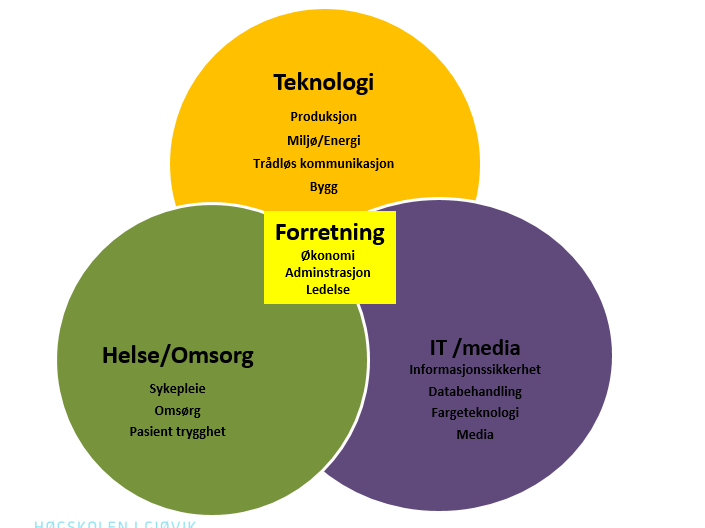 5 Fig 1: Integrasjonen mellom økonomi og administrasjon og HiGs avdelinger. Mange av de første handelshøgskoler internasjonalt har utgangspunkt i teknologifaglige miljø.