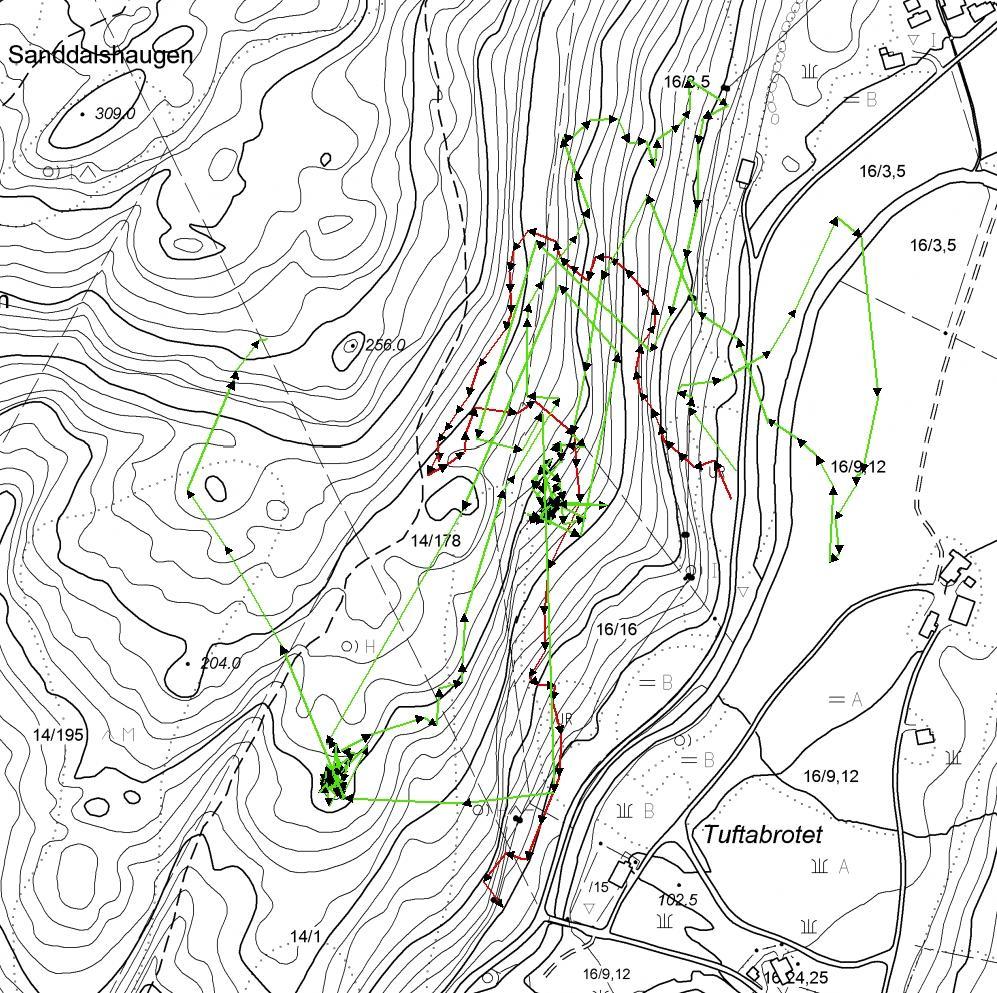 Hjorten ble skremt ut igjen her kl 17:51 MH02 6892 Hjorten sto her