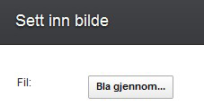 v Overskrift legger til arknavnet på begynnelsen av hver side. v Bunntekst legger til sidenummer på slutten av hver side. v Kodet PDF skriver PDF-koder, noe som øker filstørrelsen.