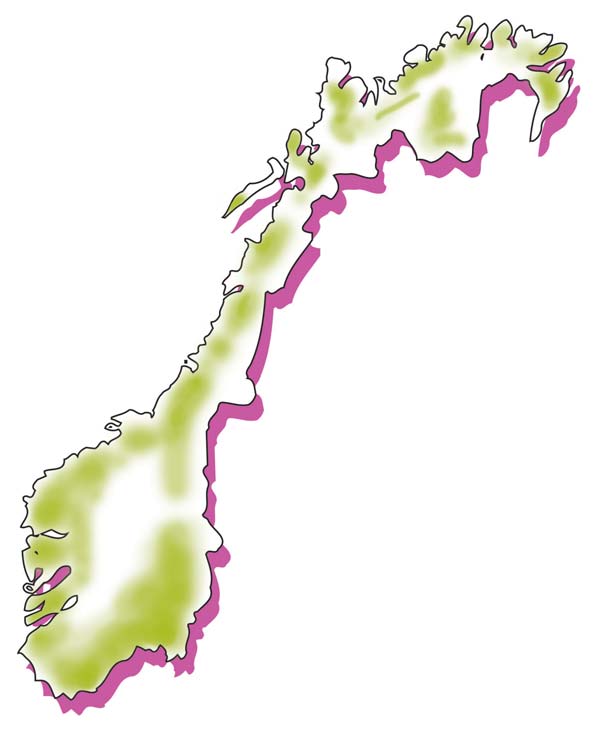 Du taper arbeidsrettsaken Sjansene for å vinne en arbeidsrettsak mot arbeidsgiver er små. Går du rettens vei i en arbeidsrettsak er du dømt til å tape.