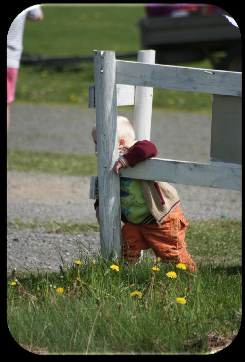 Ivrig tilskuer!