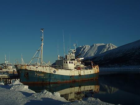 identifisere mulige lkaliseringer fr havbruksaktivitet. Det er flere aktører sm ønsker å lkalisere seg i fjrden. Oppdrettsnæringen har strt behv fr transprt av ferdige varer, emballasje, utstyr etc.