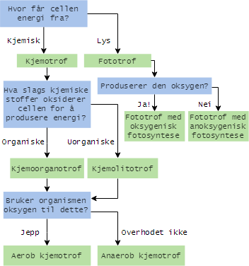 Ekstremofile organismer Organismer som overlever i ekstreme habitater der de har funnet sin egen nisje, for eksempel kokende varme kilder, breer, og vann med ekstremt høy saltkonsentrasjon eller ph.