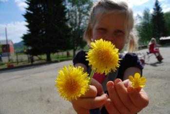 Juni 2015 LSommer og uteaktivitet - Vi jakter på insekter og finner navn på ulike sommerblomster Vi synger og spiller vår og sommersanger.