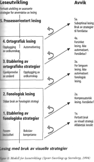 Frost bruker Spear-Swerling og Stenbergs modell og deler leseutviklingen i fire aktivitetsområder. Frost lager konkrete mestringsmål til hver av aktivitetsområdene.