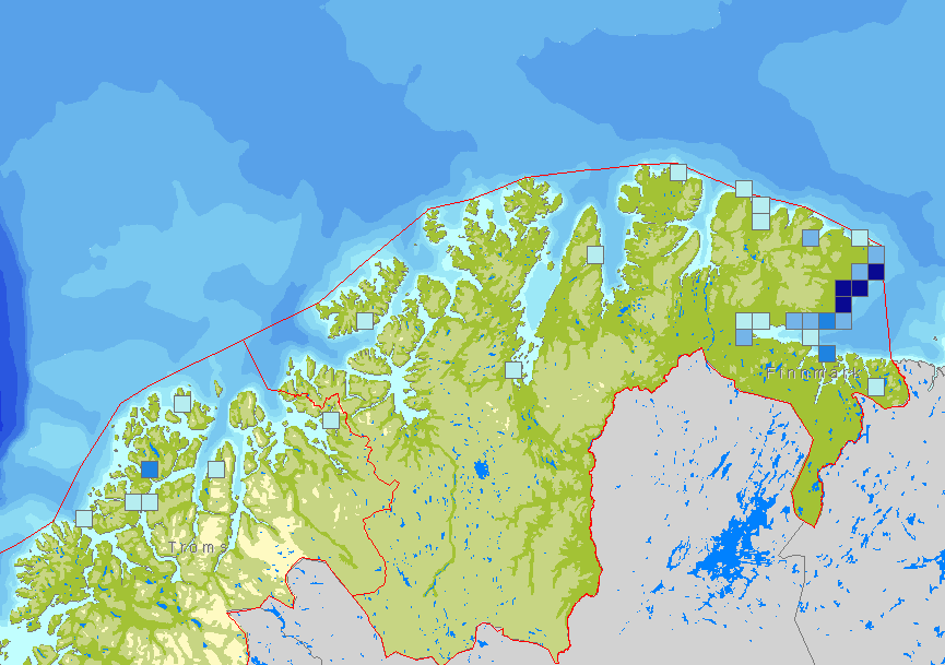 Stellerand (Polysticta stelleri) Stelleranda er den minste av dykkendene, og er på størrelse med ei havelle.