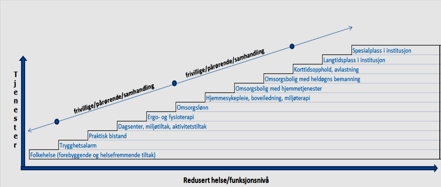 Omsorgstjenesten har i dag mottakere i alle aldre og med svært ulike behov. Om lag en fjerdedel av brukerne på landsbasis «skiftes ut» hvert år.