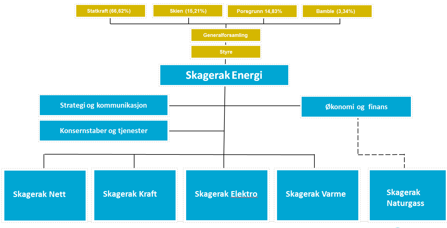 Skagerak Energi Selskapets virksomhet er konsentrert om produksjon, omsetning og overføring av elektrisk kraft og annen energi, samt virksomhet som er i tilknytning til dette.