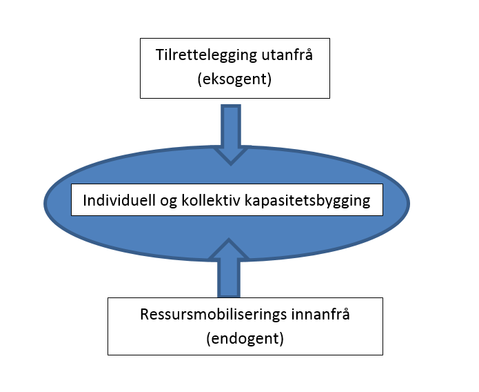 1.3 Om kapasitetsbygging og «empowerment» «Kapasitetsbygging» er Amdam (ibid.