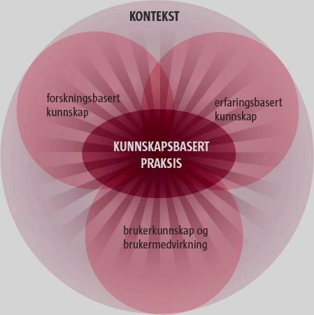 Klargjøre kunnskapsgrunnlaget forskning, erfaring og brukerkunnskap For å sikre at tjenestene har god kvalitet, må de bygge på forskningsbasert kunnskap, erfaringsbasert kunnskap (klinisk erfaring),