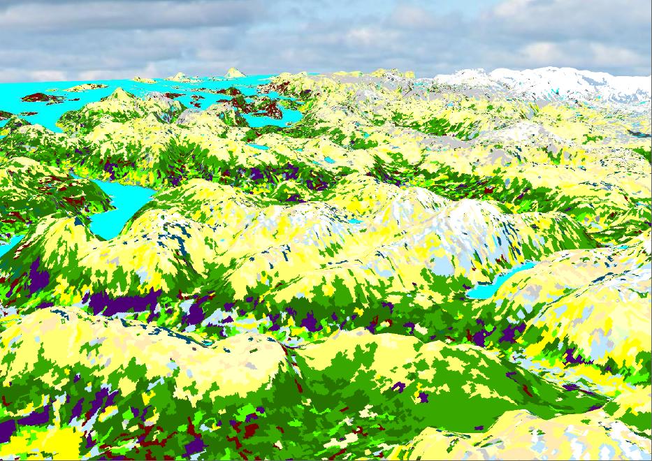 10-15 m oppfattes å gi en optimal første generalisering av landskapet (for eksempel Landsat 7) før segmentering og bildeanalyse.