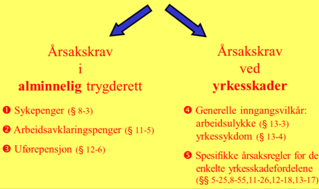 Oversiktsperspektiv på årsakstemaet utvalgte emner for forelesningen: systemforståelse Grunnleggende forskjeller i årsakskravets begrunnelse & funksjon Oversiktsperspektiv på årsakstemaet utvalgte