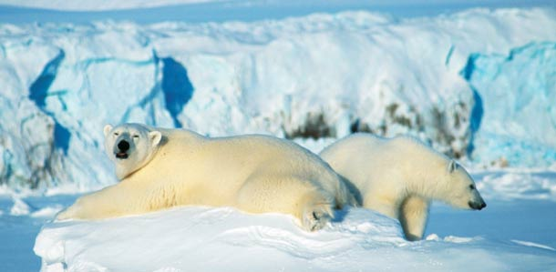 Problemer med å lese dette nyhetsbrevet? Klikk her Del: Svalbard Svalbard betyr «kjølig kant» og er en øygruppe som ligger under norsk suverenitet på 78 grader nord.