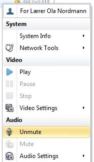 Nå kan du enten bruke samme knapp på nytt, eller høyreklikke på deg selv i deltakerlisten og velge Unmute/Mute etter behov.