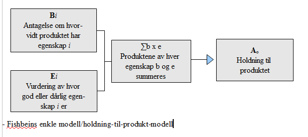 Ao= f Σ b x e I denne modellen er personens vurdering av objektet (Ao) en funksjon (f) av summen (Σ) av personens vurdering (e) av hver enkelt egenskap multiplisert med (x) antakelsen (b) for at