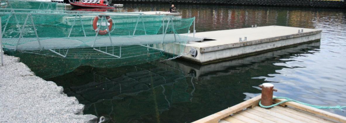 K 3 er ny offentleg kai, som kan nyttast av større gjestebåtar som kjem til Gudvangen. Utforminga skal vere i tre, tilsvarande som i Flåm.