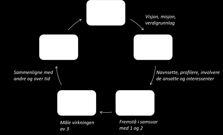 annet på at (salgs-)budskapene hovedsakelig består av retorikk om modernisering og effekter, og at rasjonaliseringen har betydelig slagside i form av manglende empiri og troverdige beskrivelser av