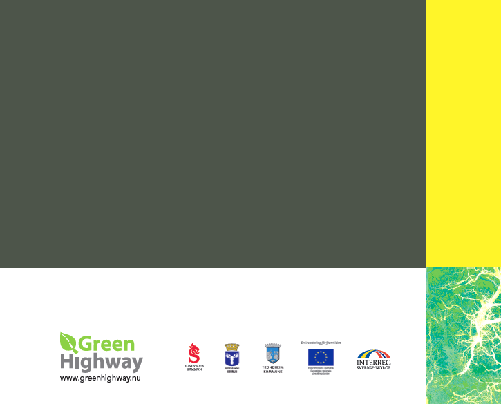 Green Highway veien til suksess?