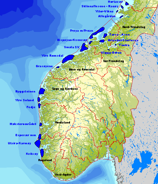 Jærkysten og Karmøyfeltet i Rogaland er også viktige områder for kystbundne dykkende arter.
