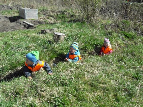 Natur, miljø og teknikk «Fagområdet skal bidra til at barna blir kjent med og får forståelse for planter og dyr, landskap, årstider og vær (Kunnskapsdepartementet, 2006b) Gjennom arbeid med natur,