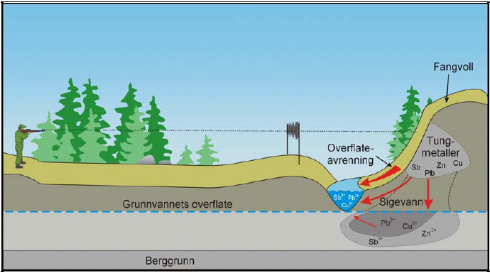 88 Håndbok for skyte- og øvingsfelt Utlekkingen øker i nedbørsperioder (FFI 2003a). Metaller kan også tas opp av planter. Metallene kan til en viss grad også spres med luft, f.eks.