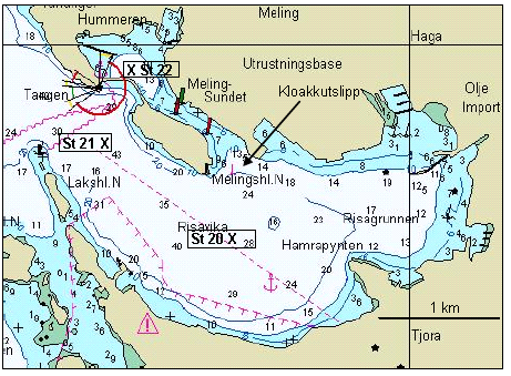 tidligere undersøkelser (Tvedten m.fl. 2003) i Risavika har vist gode miljøforhold for en rekke bunndyr samt god artsdiversitet.