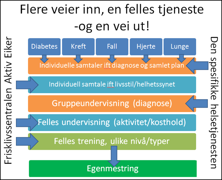 Frisklivssentralen er gjerne igangsetter for disse gruppene, med hjelp av aktivitetesledere/likemenn som gradvis overtar styringen. Gruppene etableres der det er behov i lokalmiljøet.