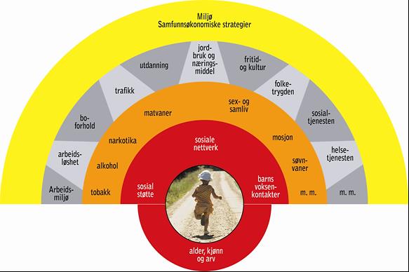 Figur 1. Det store og det lille folkehelsearbeidet. Det «store folkehelsearbeidet» utgjør ca.