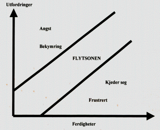 Bidra til at lærere og instruktører fremstår som tydelige ledere, og som forbilder for lærlingene/lærekandidatene.