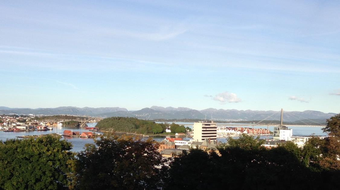 Bakgrunn Utdannet gartneriteknikker med anleggsteknisk spesiale i 2000. Var ansatt som avdelingsingeniør ved Statens vegvesen i Sogn og Fjordene.