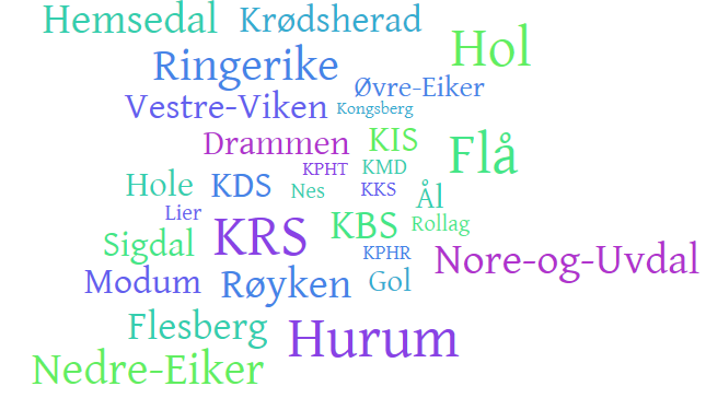 ÅRSMELDING 2013 Pasient