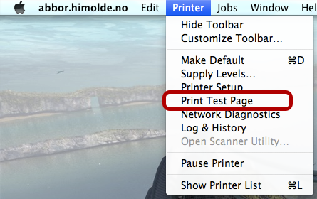 Steg 6 Når du igjen står i "Print & Fax"-vinduet, marker den nye skriveren, og velg "Open Print Queue...". Steg 7 Gå til menyvalget "Printer" -> "Print Test Page".
