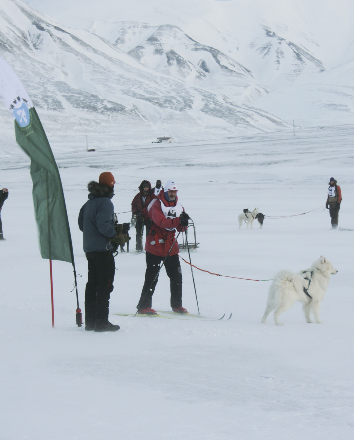 Tekst og bilder: Hege Evensen Hjelløkken Bolterdalen rundt og Isac sin debut som kjørehund For et drøyt år siden stod det en annonse i Svalbardposten, «samojed hannhund til salgs».