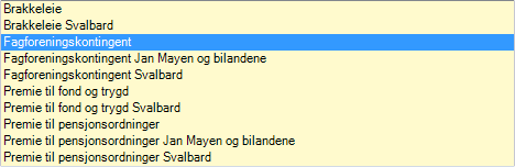 Datarapport på aktuell a-melding som er generert vil ha defaultverdier år, måned, firma og melding.